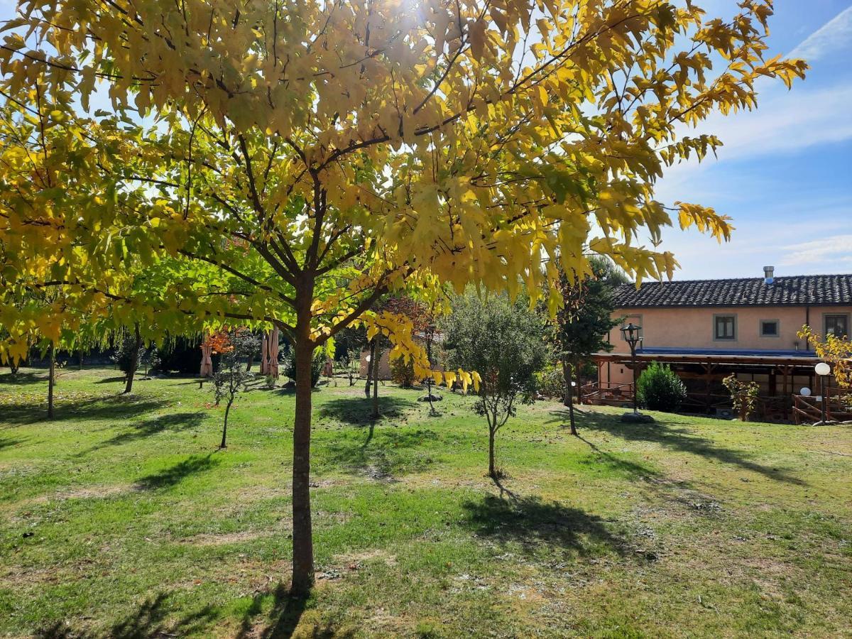 Sassomatto B&B Bioagriturelax Campogialli Exteriér fotografie