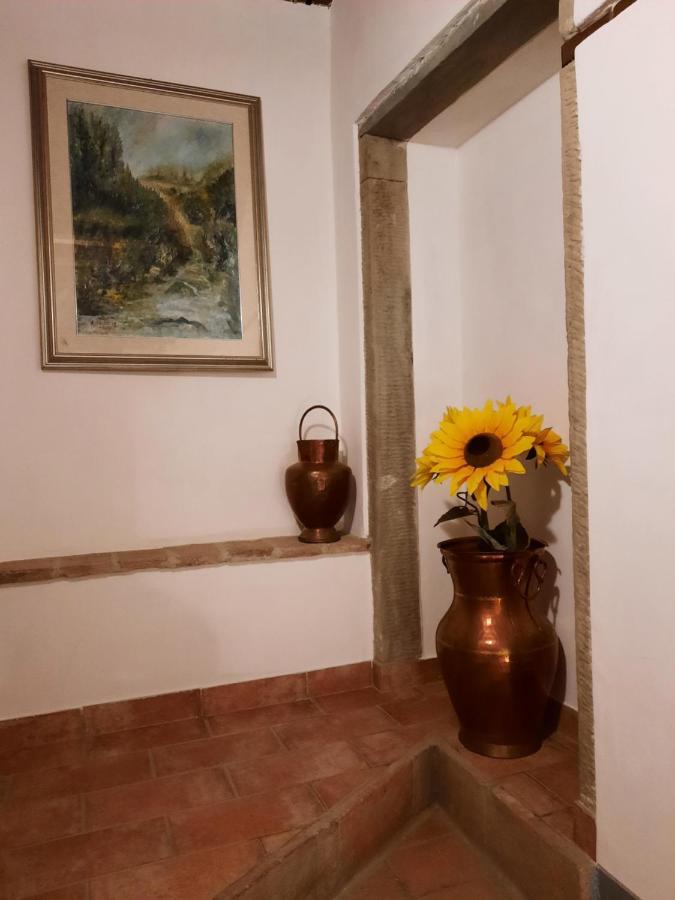 Sassomatto B&B Bioagriturelax Campogialli Exteriér fotografie